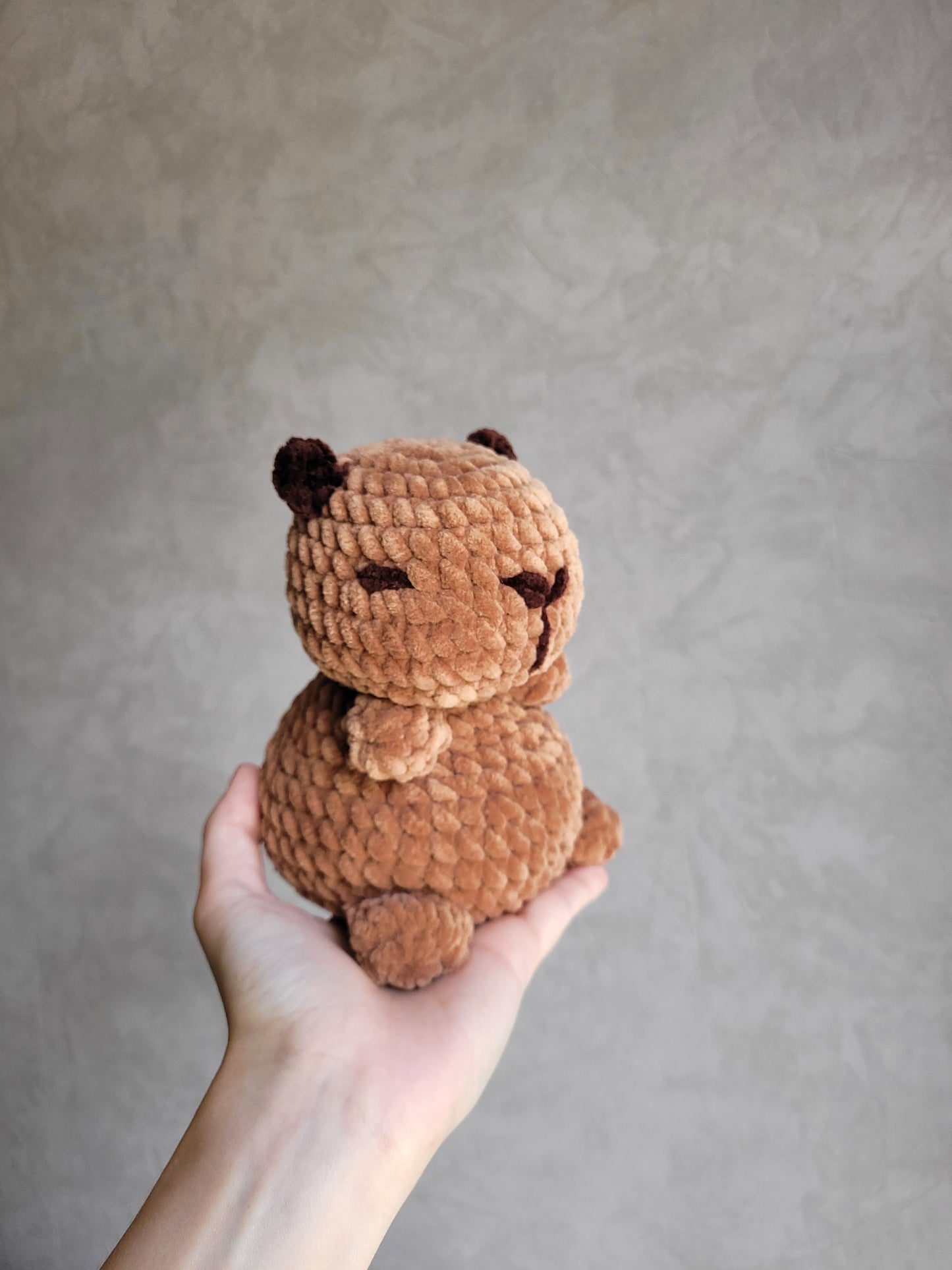 Capybara et sa fraise 🍓